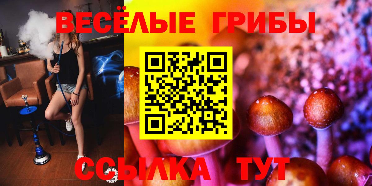 Галлюциногенные грибы ЛСД  Вход с VPN  где купить наркоту  Мелеуз 